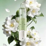 【一次性】正品比熊Bearfbar Solo 15000口一次性电子烟-16.8W大功率输出-24节气元素设计